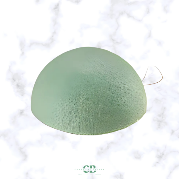 ESPONJA KONJAC ALOE VERA NATURAL POLLIE